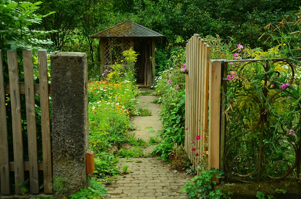 landscaping-around-your-shed