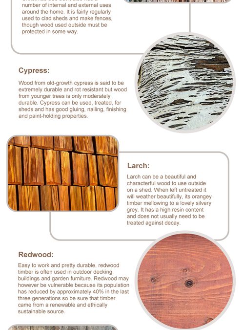 Types of Wood for Shed Building [infographic]