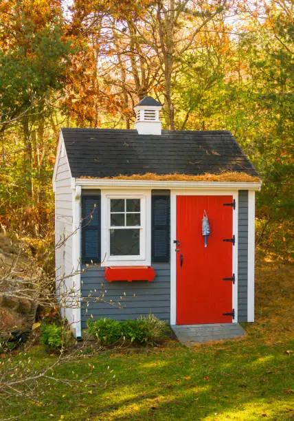 8x12 Tall Garden Shed Plan For A Prehung Door