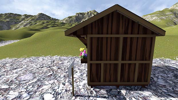 Shed Roof Types