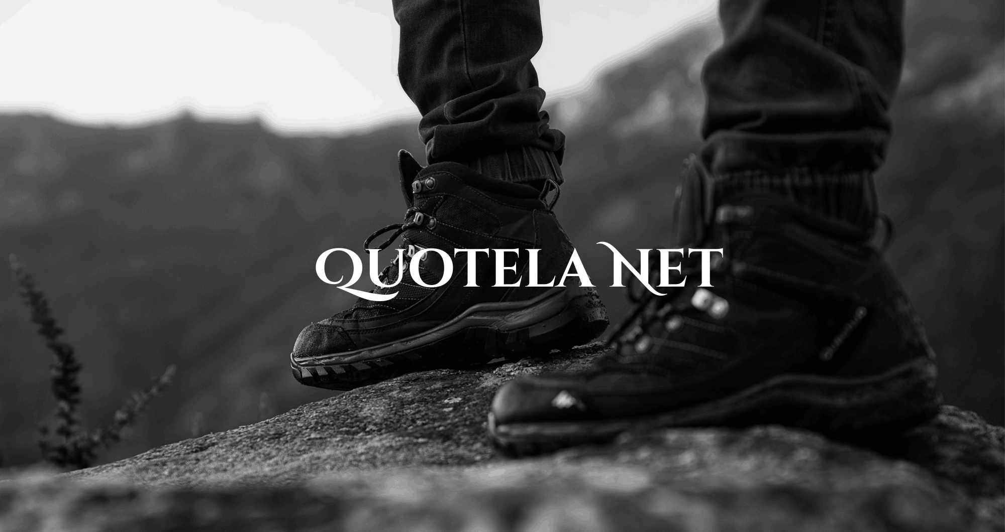 Quotela Net