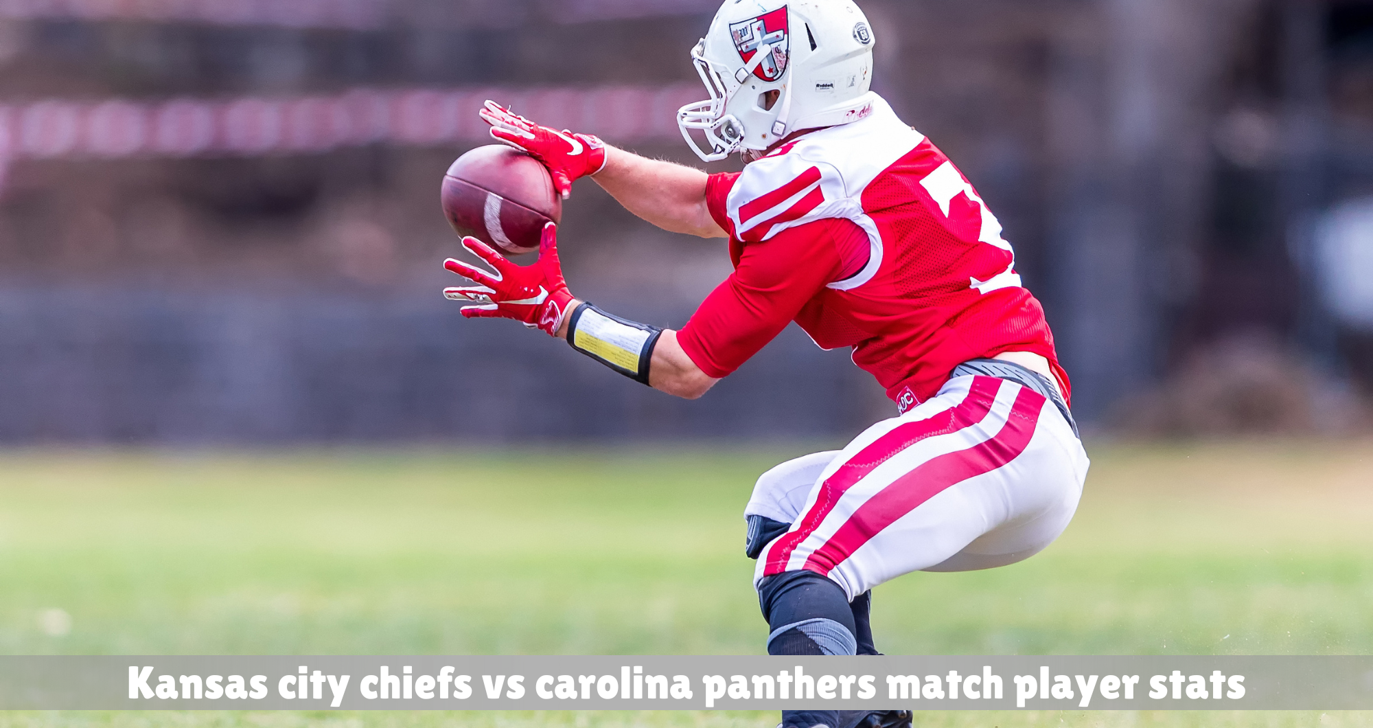 kansas city chiefs vs carolina panthers match player stats