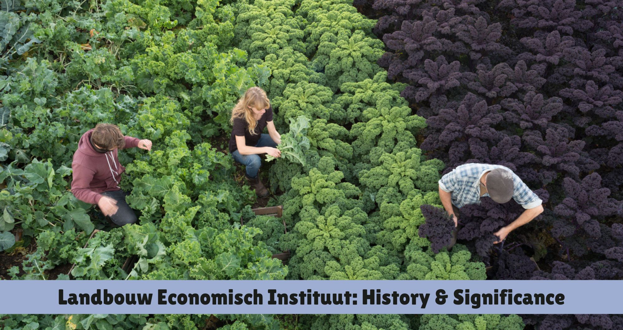 Landbouw Economisch Instituut