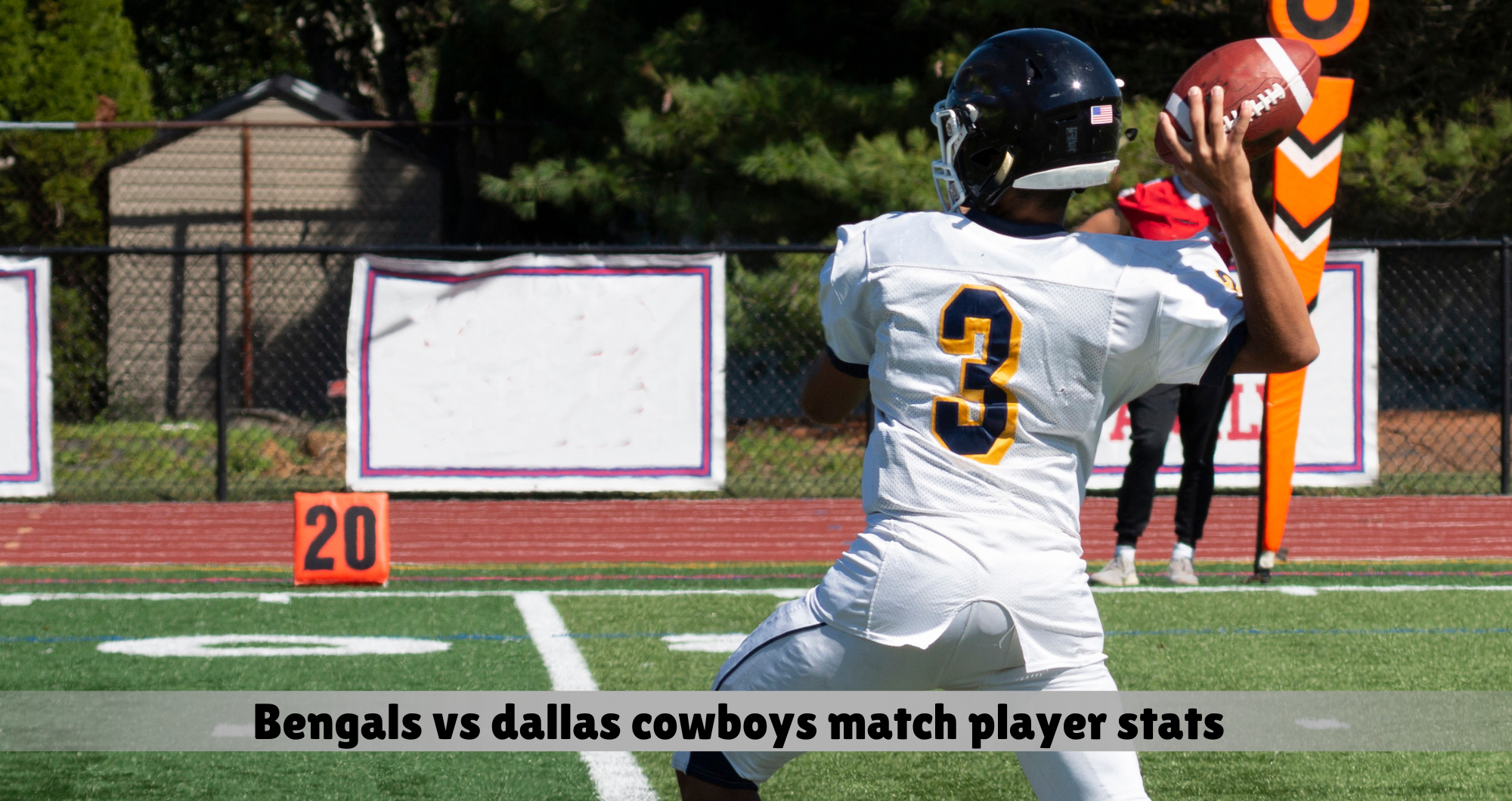 bengals vs dallas cowboys match player stats