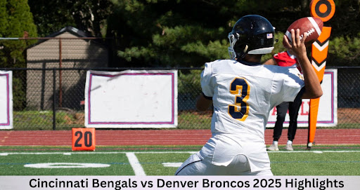 denver broncos vs bengals match player stats