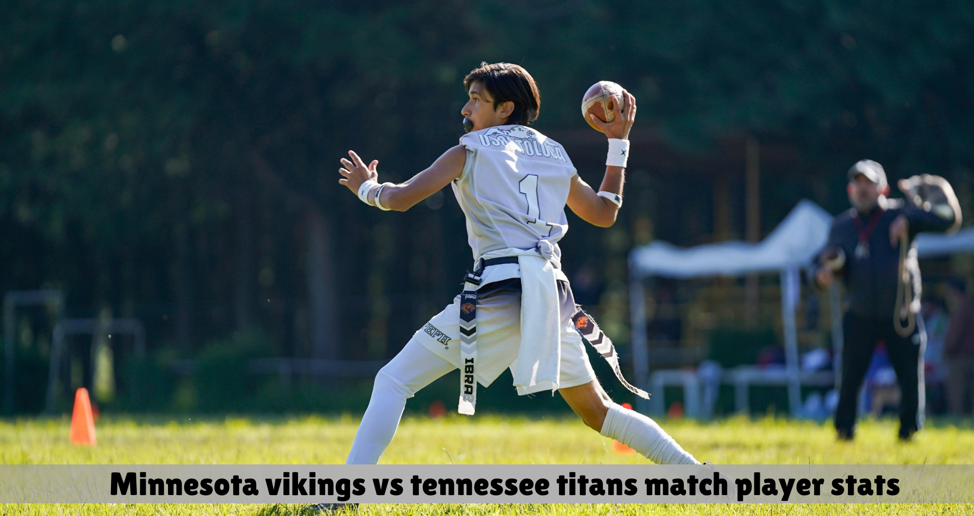 minnesota vikings vs tennessee titans match player stats