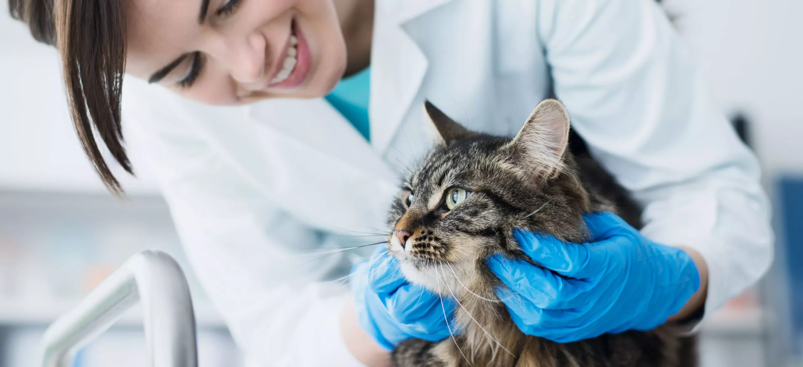 Veterinarian’s Resources